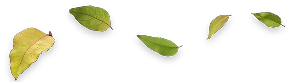 Enquire about our product