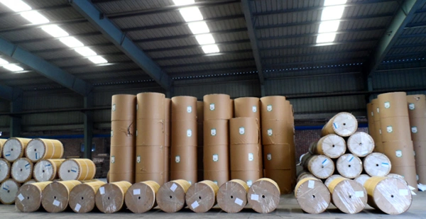 Packaging & Shipping